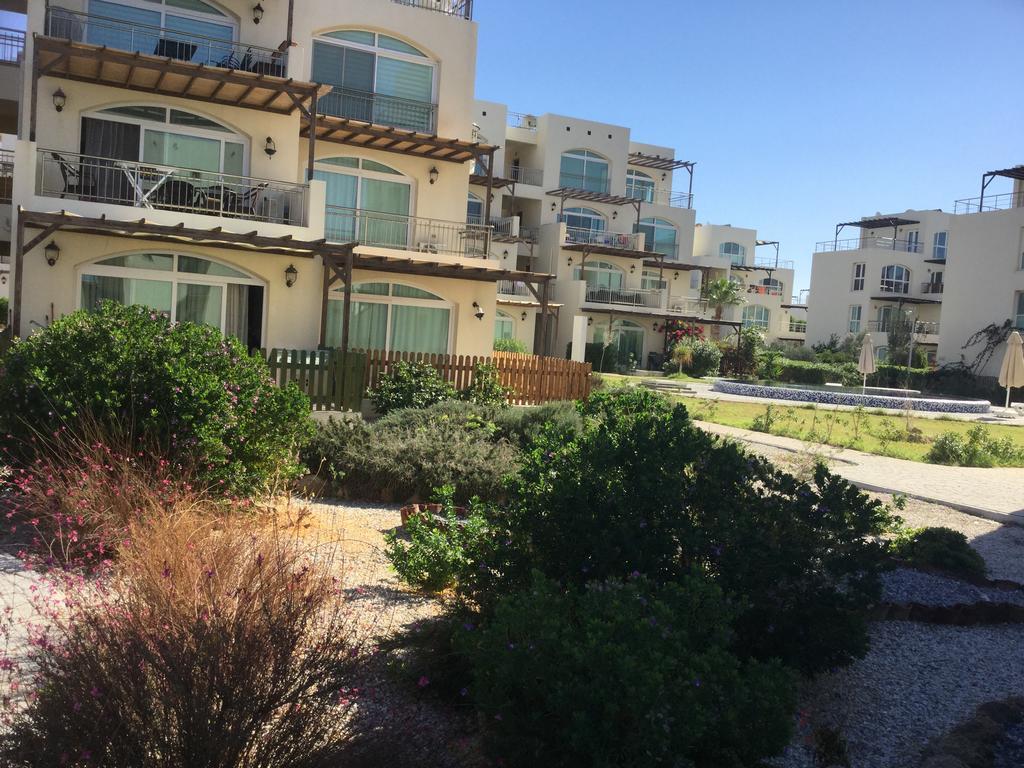 Aphrodite Beachfront Apartment Ghaziveran Buitenkant foto